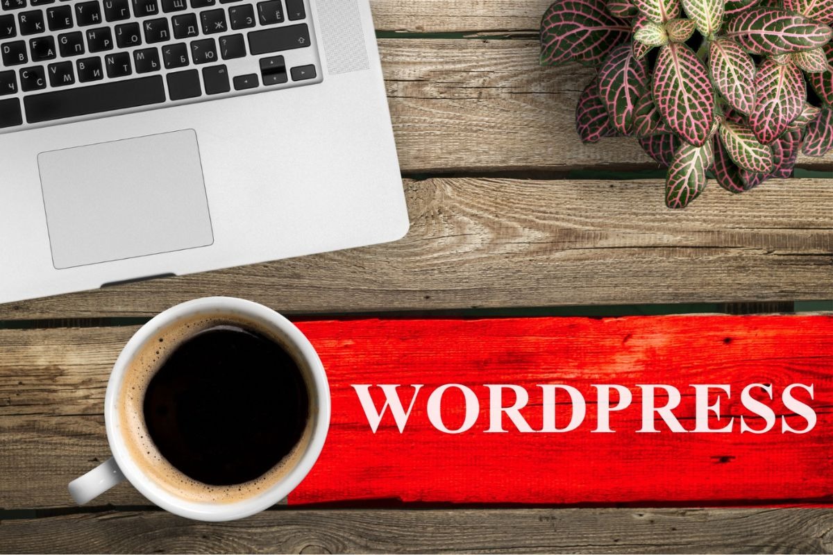 Conoce la mejor opción para optimizar tu sitio web WordPress 25