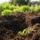 ¿Qué esconden los ABONOS ECOLÓGICOS bajo la superficie?