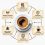 SEGUROS DEL CAFÉ ¿Tu cafetería está realmente protegida?