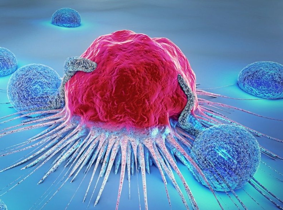 Sobre el presente y futuro del tratamiento del melanoma 1