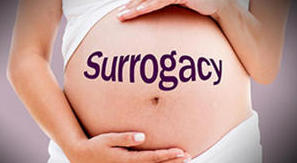 Maternidad subrogada: implicaciones legales 12